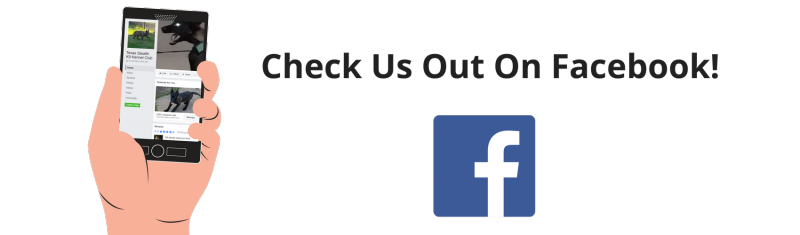 follow us on facebook